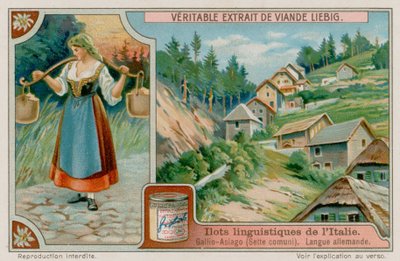 Německy mluvící Gallio Asiago od European School
