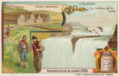 Islandská farma a Gullfoss (Zlaté vodopády) na Hvitě od European School