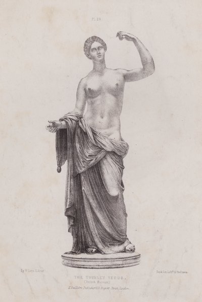 Ilustrace k knize Anatomie vnějších tvarů člověka: Townleyská venuše, Britské muzeum (litografie) od European School