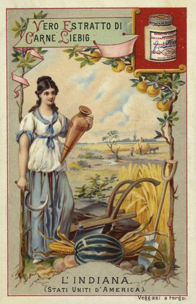 Indiana od European School