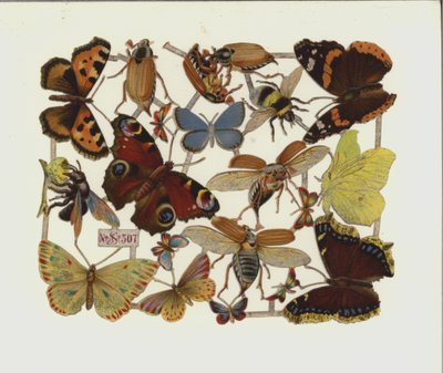 Hmyz (chromolitho) od European School
