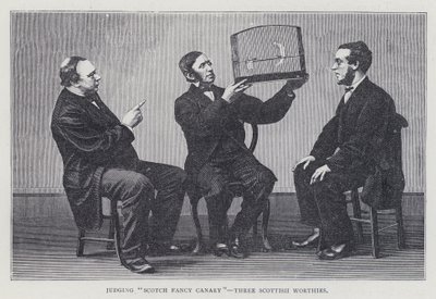 Posuzovat "Scotch Fancy Canary", Three Scottish Worthies od European School