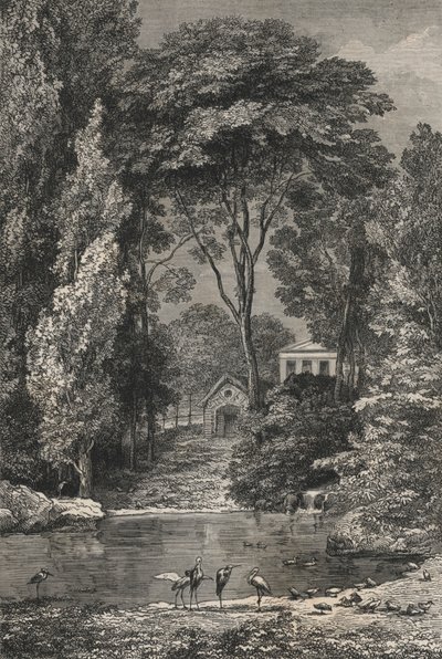 Švýcarské údolí v Jardin Des Plantes De Paris (rytina) od European School