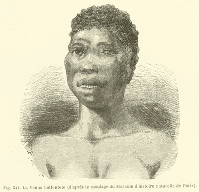 Hottentotská Venuše, od obsazení Muzea přírodní historie v Paříži (rytina) od European School