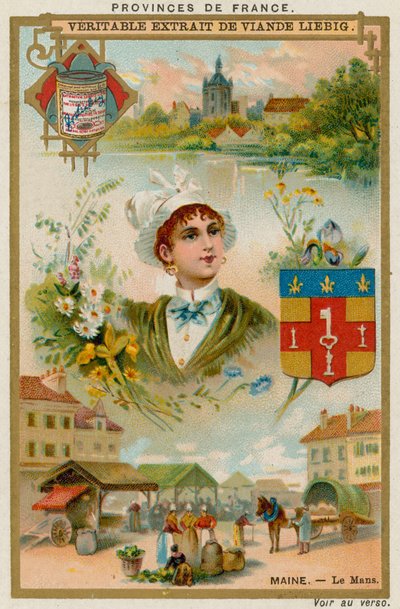 Maine od European School