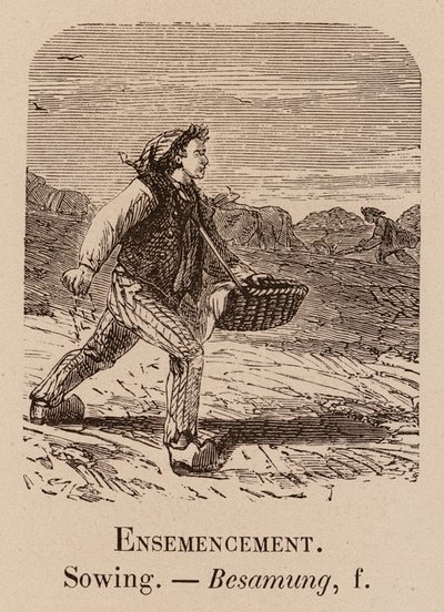 Ilustrativní slovník: Setí; Setí; Besamung (rytina) od European School