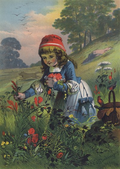 Červená karkulka (barva lito) od European School