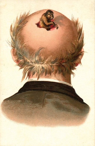 Hlava muže - s vylézající opicí (chromolit) od European School