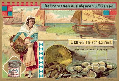 Mušle a ústřice (chromolitho) od European School