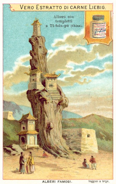 Starý strom s chrámy v Číně (chromolitho) od European School