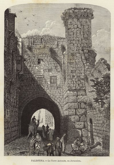 Palestina, Antonia Tower, v Jeruzalémě od European School