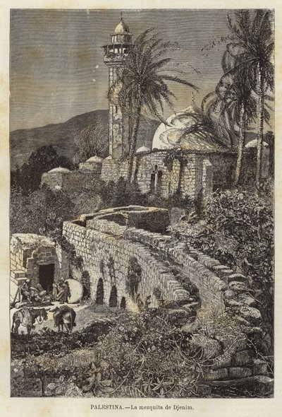 Palestina, mešita Djenim od European School