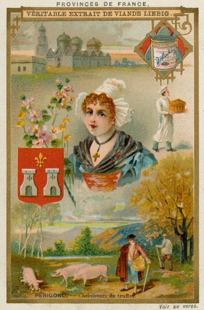 Perigord od European School