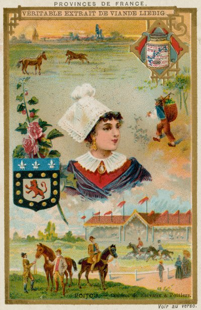 Poitou od European School