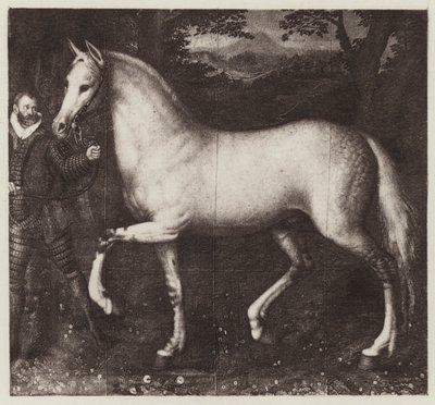 Kůň královny Alžběty (litho) od European School