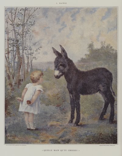 Jakou ruku si vyberete? (Kterou ruku si vyberete?) (barva lito) od European School