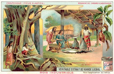 Gumovník (chromolitho) od European School