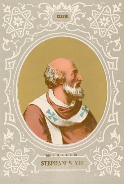 Štěpán VIII od European School