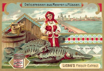 jeseter (chromolitho) od European School