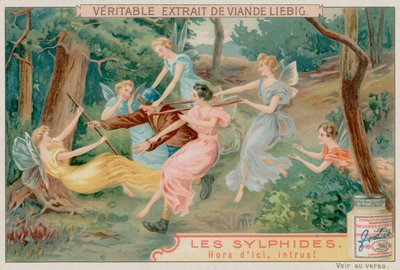 Sylfy a vetřelec od European School