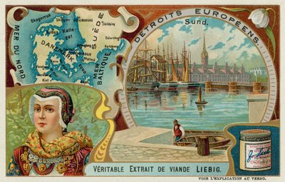 Dánské úžiny od European School