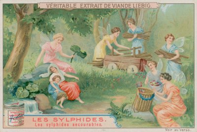 Užitečné Sylfy od European School