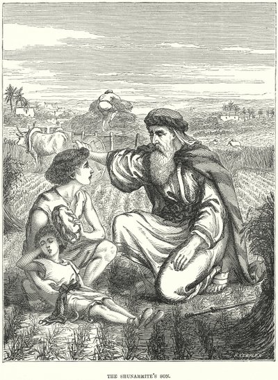 Syn Šunammity (rytina) od European School