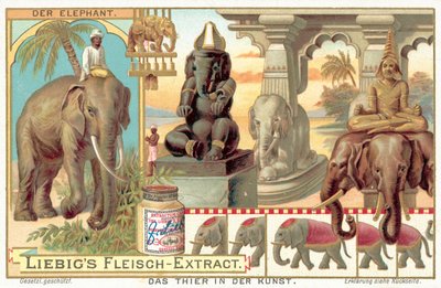 slon (chromolitho) od European School