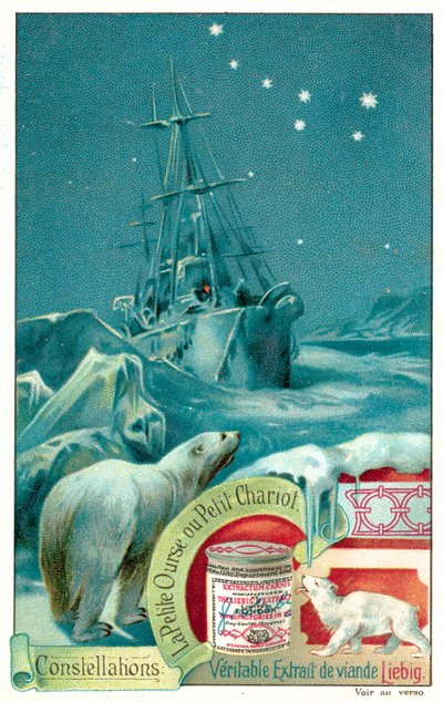 Ursa Minor (chromolitho) od European School