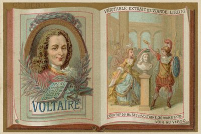 Voltaire od European School