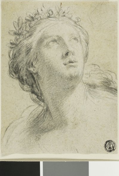 Hlava ženy od Eustache Le Sueur