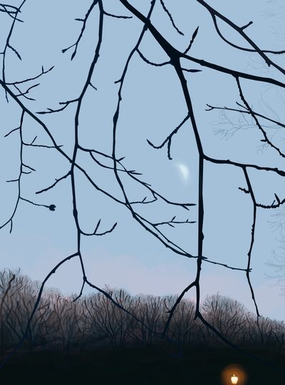 Větve, svítání, Prospect Park (digitální umění) od Evan Sklar