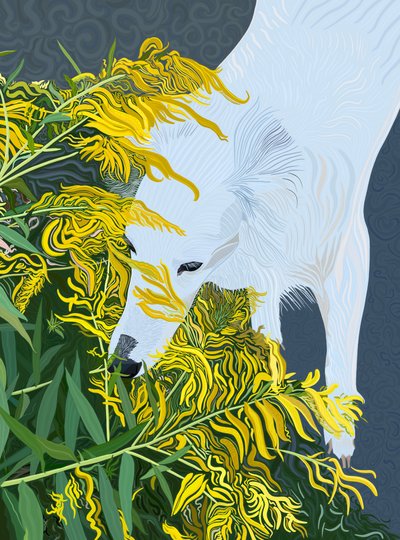 Goatdbeard White Dog and Goldenrod (digitální umění) od Evan Sklar