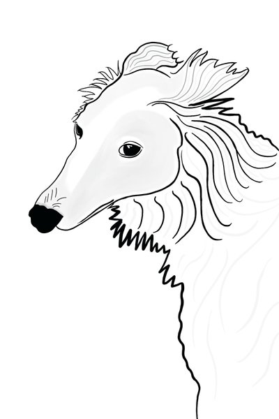 Kresba Silken Windhound (digitální umění) od Evan Sklar