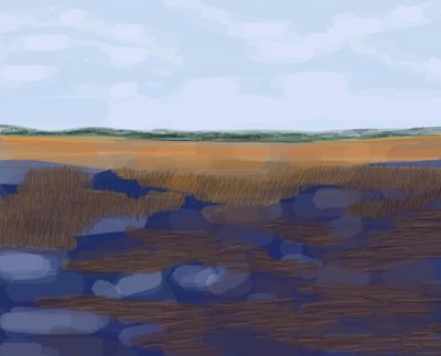 Low Country, 2016 (ručně kresleno na iPadu tužkou Apple) od Evan Sklar