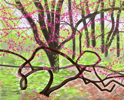 Prospect Park, jaro, 2017 (ručně kresleno tužkou Apple na iPadu) od Evan Sklar
