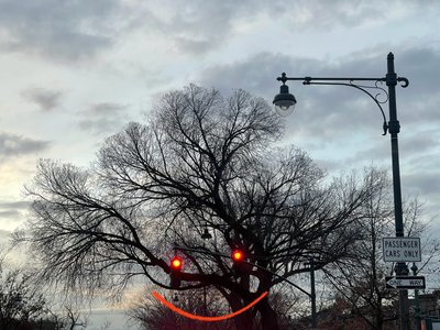 Usmívající se strom a semafory. Brooklyn (digitální umění) od Evan Sklar