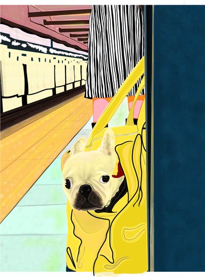Dojíždění metrem se psem v tašce, Brooklyn (digitální umění) od Evan Sklar