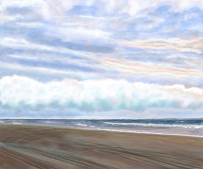 Swan Beach od Evan Sklar