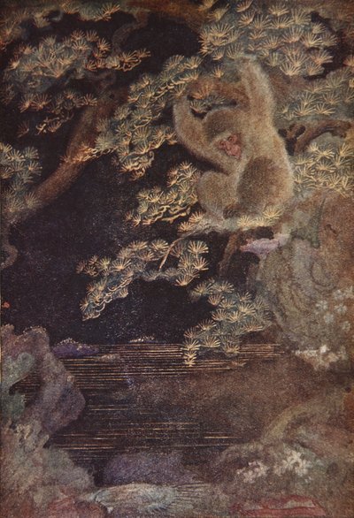 Medúza a opice, ilustrace z 