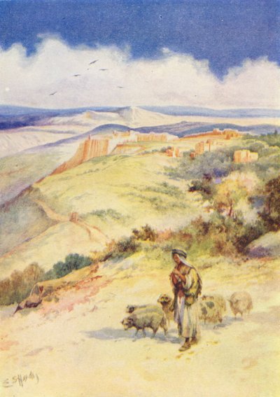  od Evelyn Stuart Hardy