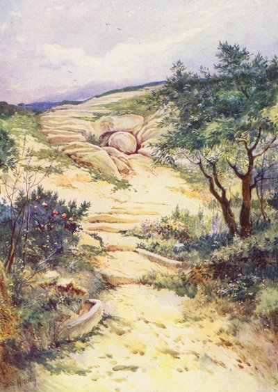  od Evelyn Stuart Hardy