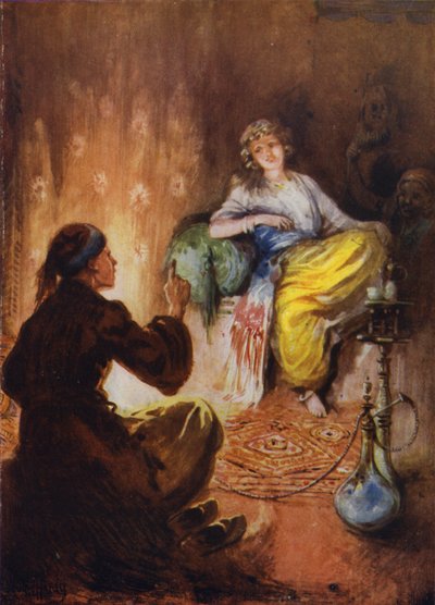 Neznámý příběh Hanse Christiana Andersena od Evelyn Stuart Hardy