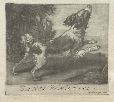 skákající pes Canis Venaticus (titul na předmětu) od Evert van Sweinen