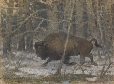 Dřevěný bizon od Evgeny Alexandrovich Tichmenev