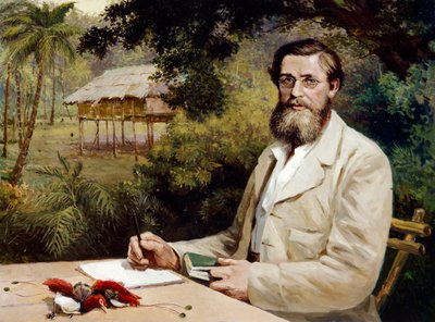 Alfred Russel Wallace (olej na plátně) od Evstafieff Evstafieff