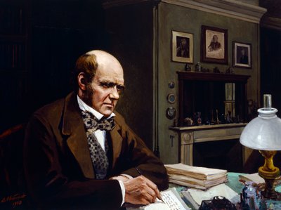 Darwin ve své pracovně (olej na plátně) od Evstafieff Evstafieff
