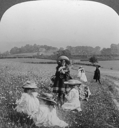 Děti na louce, Keswick, Cumbria. od Excelsior Stereoscopic Tours