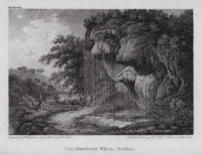 The Dropping Well, Yorkshire (rytina) od F. (after) Nicholson