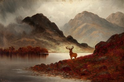 Stag at Bay (olej na plátně) od F. Carl